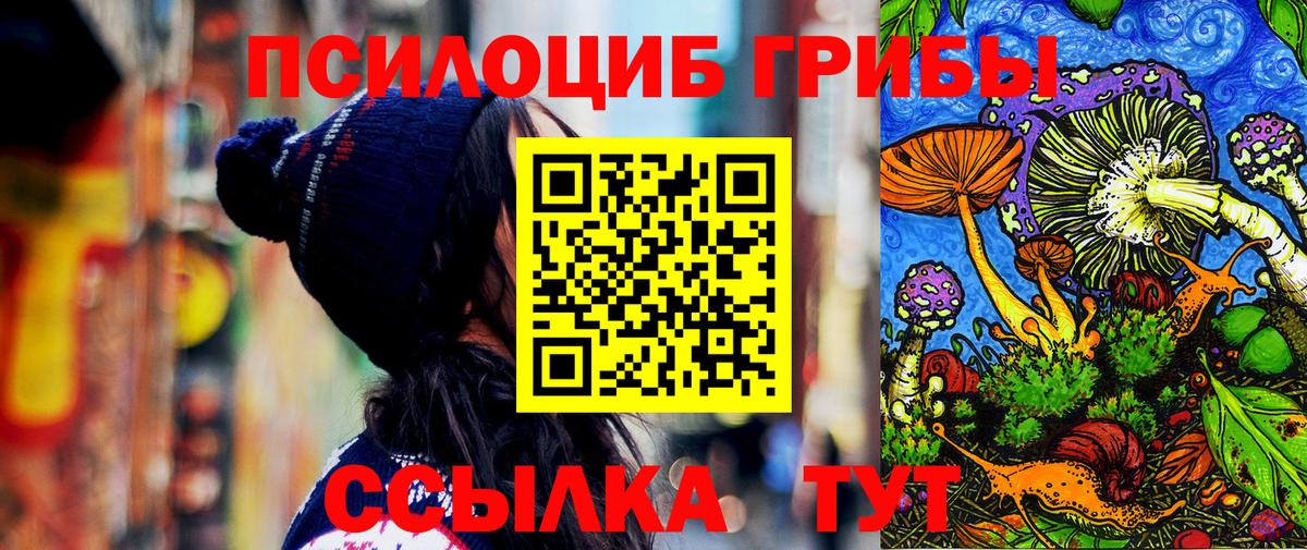 Алексин  Галлюциногенные грибы Psilocybine cubensis  Вход с VPN  Псилоцибиновые грибы ЛСД 
