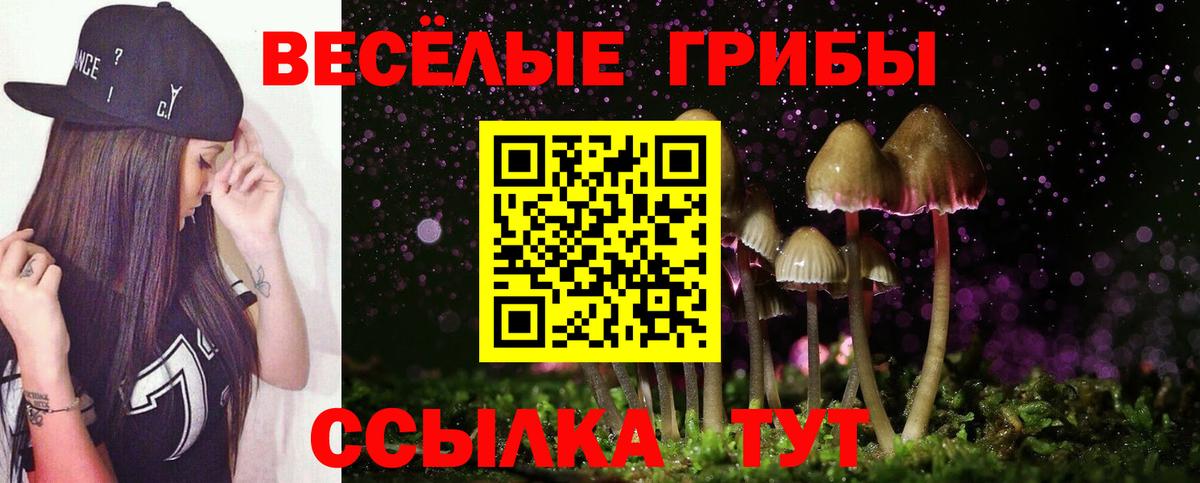 Псилоцибиновые грибы GOLDEN TEACHER Алексин